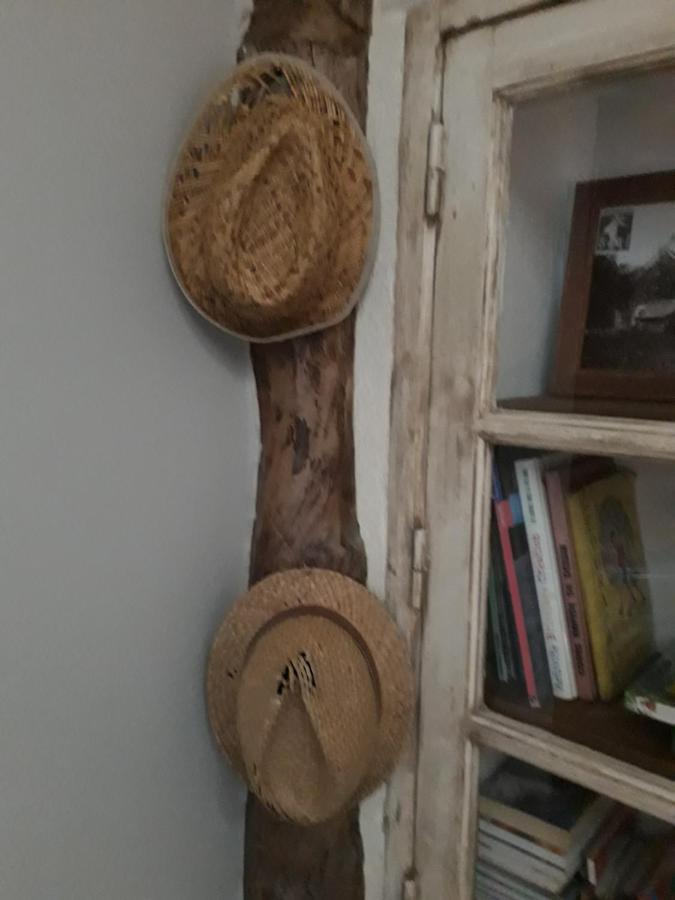 La Mesonnetta Bed & Breakfast Soulignonne Dış mekan fotoğraf