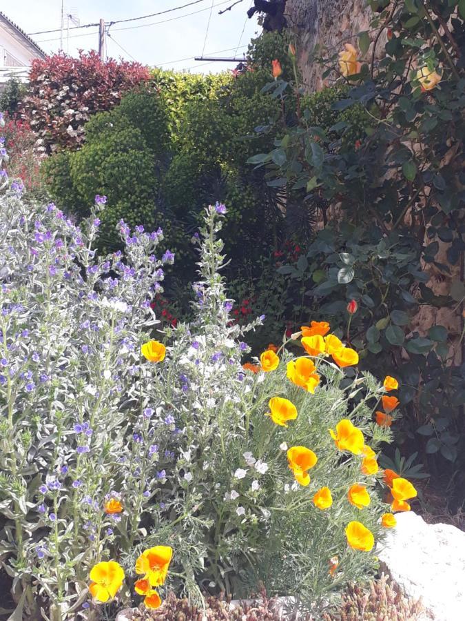 La Mesonnetta Bed & Breakfast Soulignonne Dış mekan fotoğraf