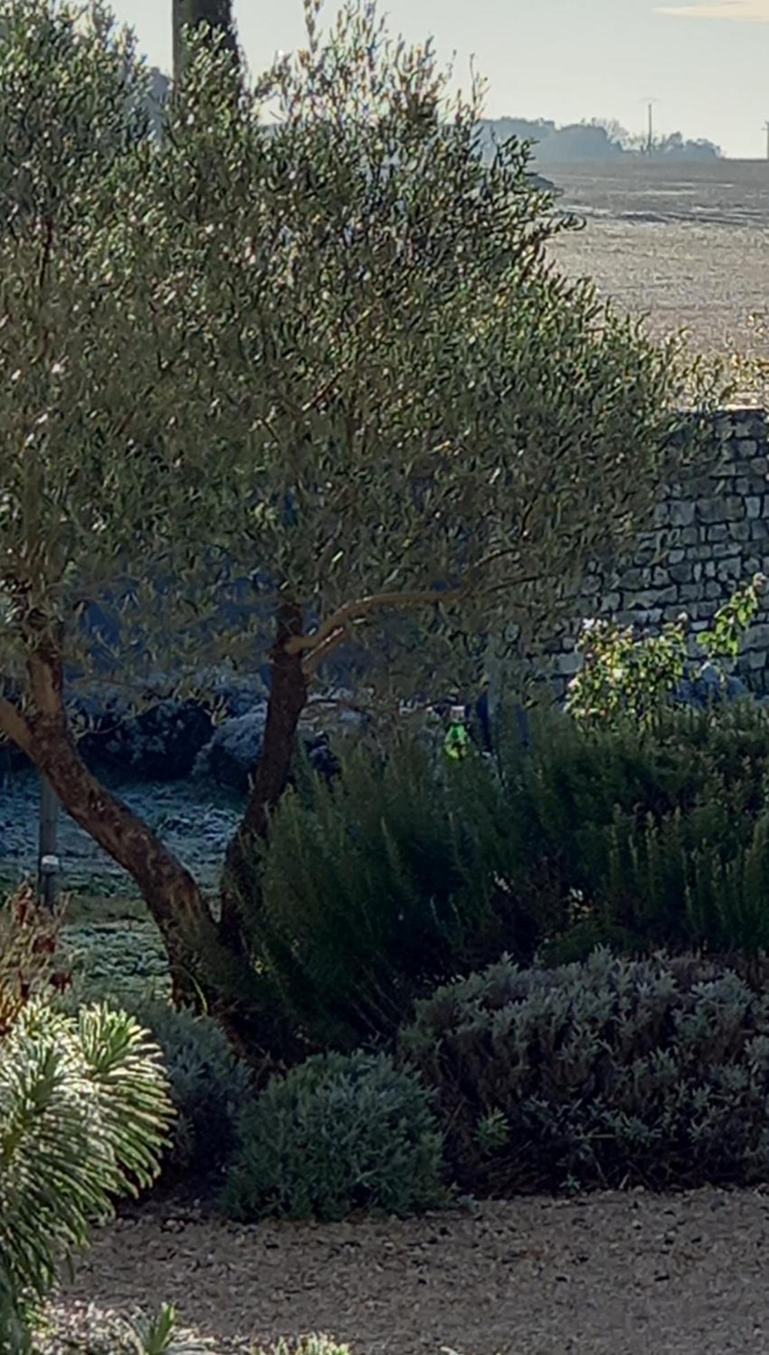 La Mesonnetta Bed & Breakfast Soulignonne Dış mekan fotoğraf